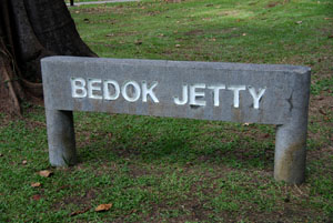 bjt